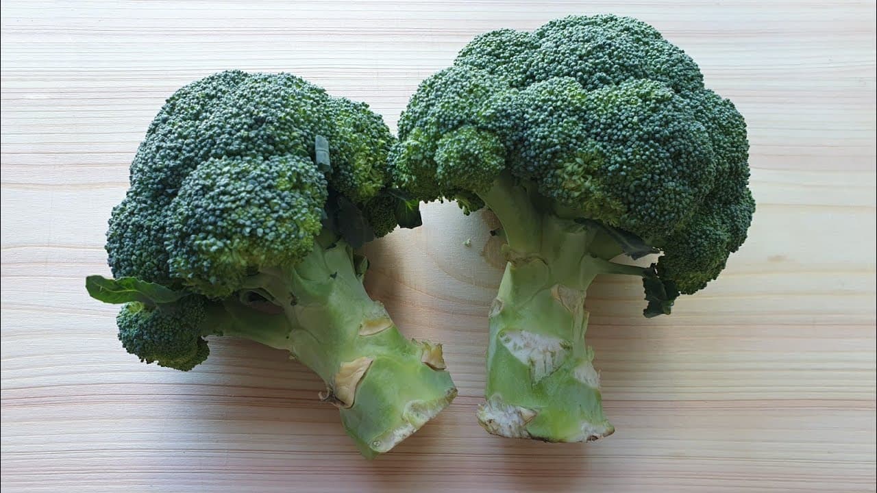 브로콜리 굴소스 볶음