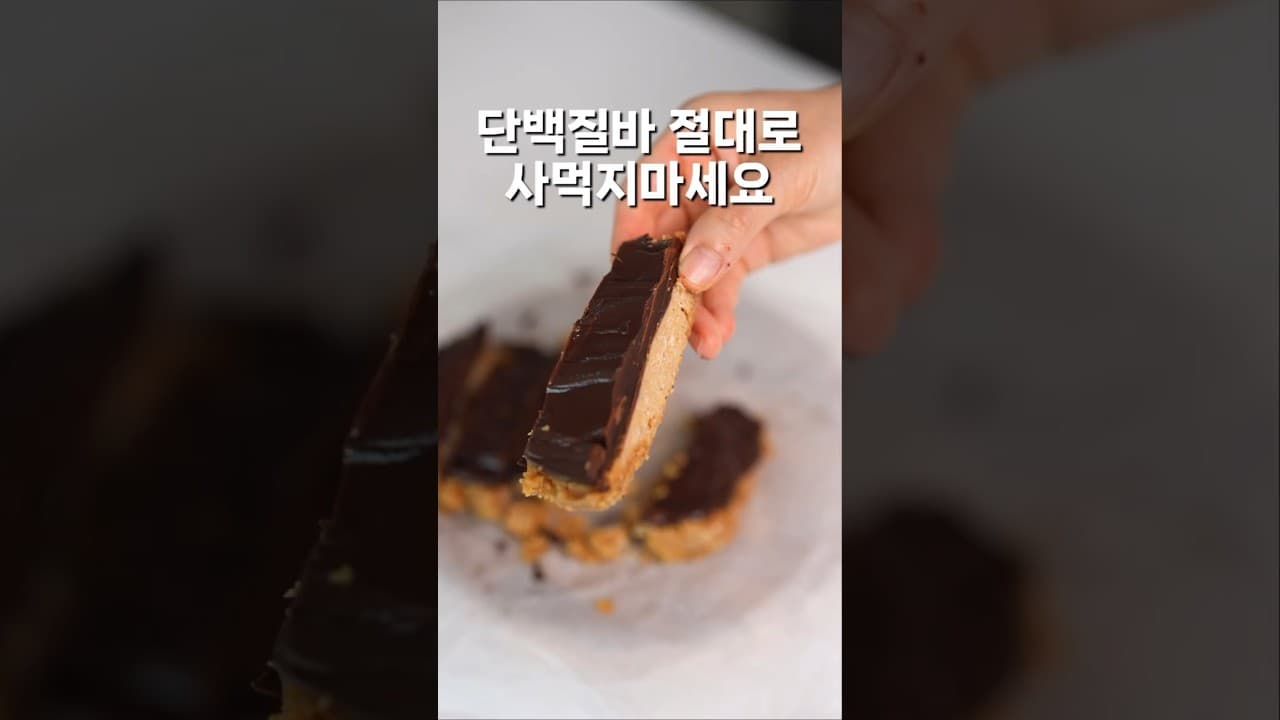 수제 단백질 바