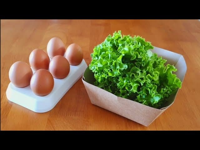 상추 또띠아와 상추 계란말이