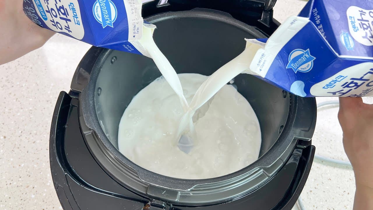 밥솥 수제 요거트