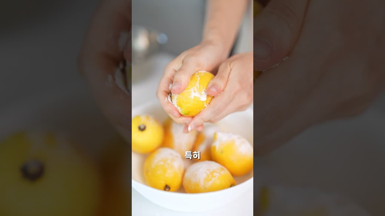 100% 통레몬 냉동 큐브