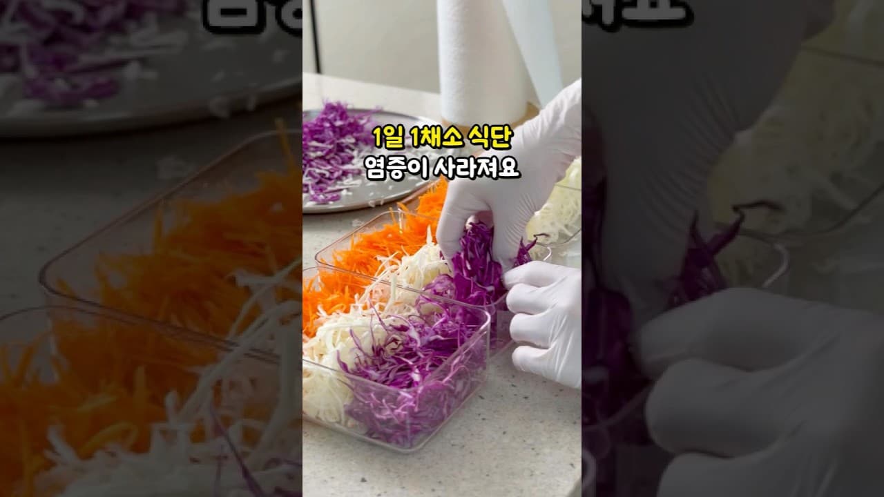 디톡스 데일리 채소 샐러드