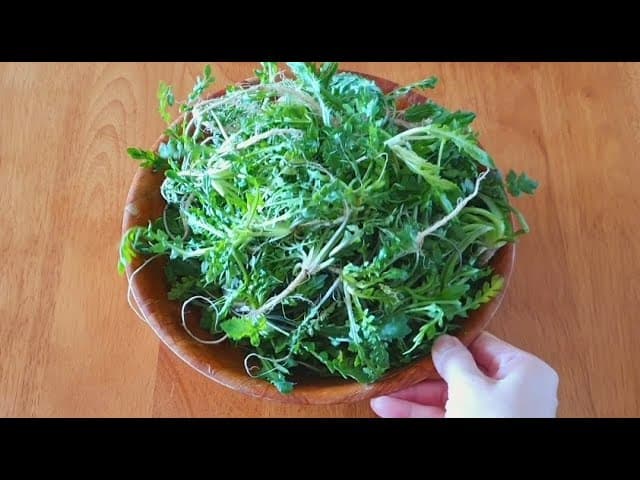 냉이밥 & 냉이김밥