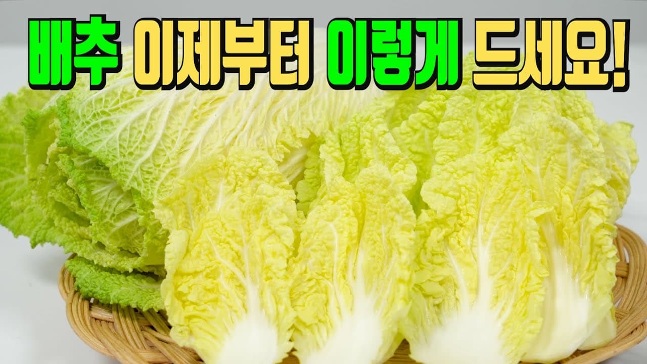 배추전