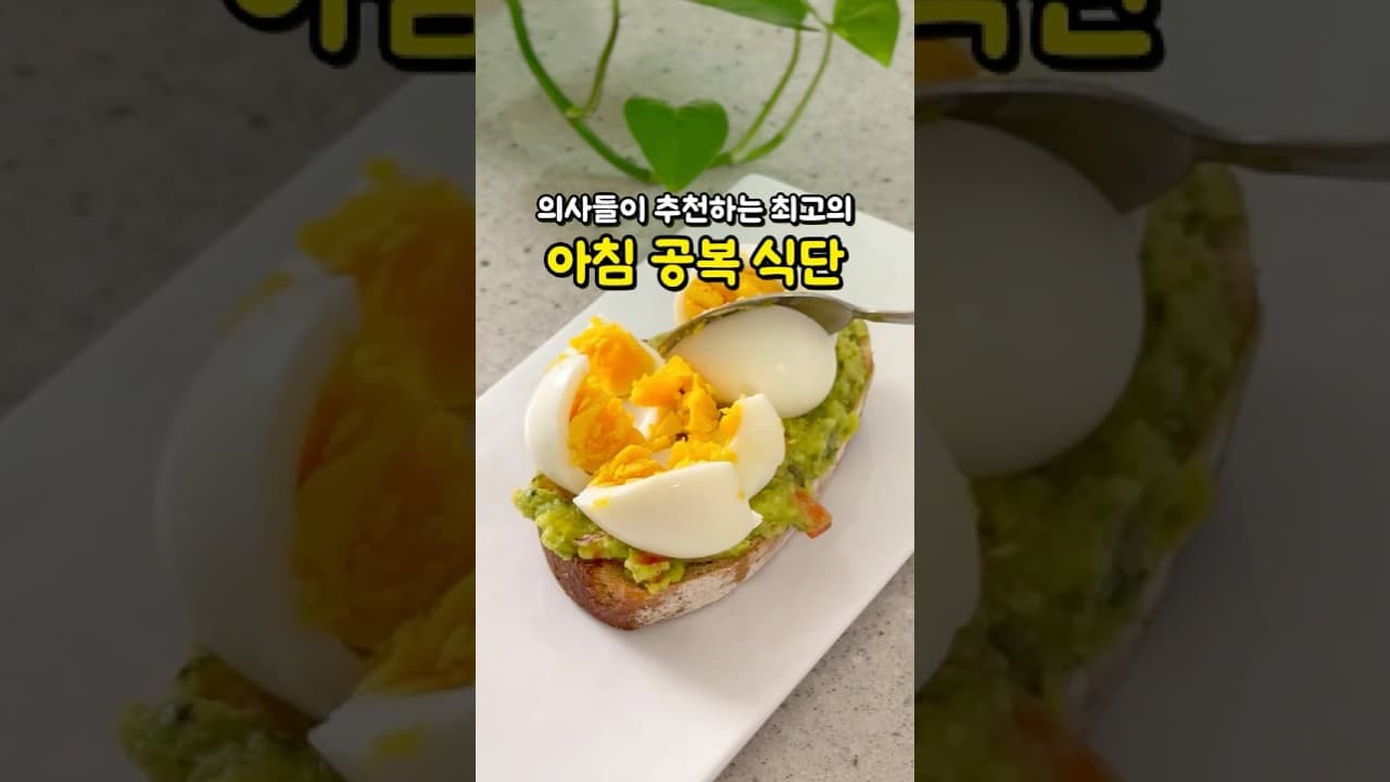 아보카도 계란 통밀 토스트
