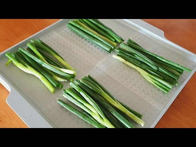 라이스페이퍼 해물파전