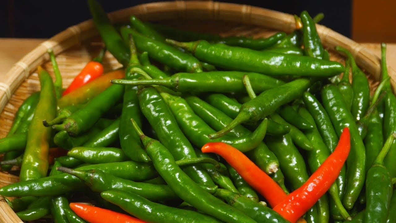 청양고추 보관법