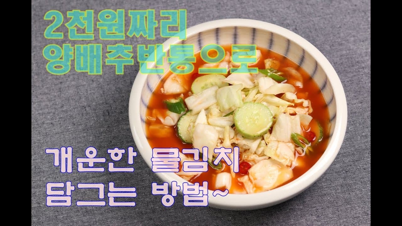 양배추 물김치