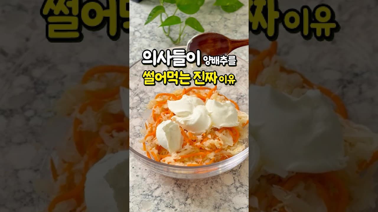 당근 양배추 샐러드