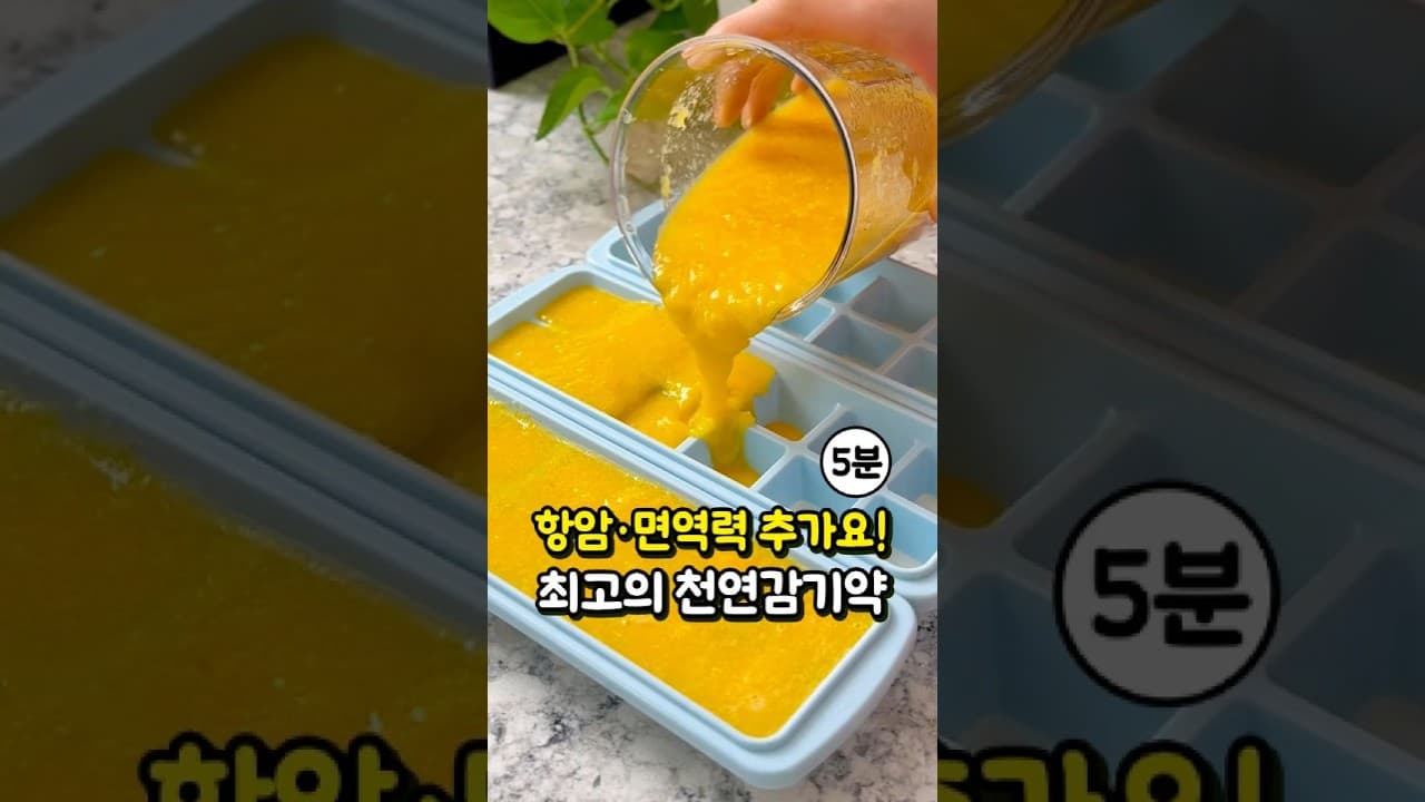 진저샷 생강차 에너지 큐브