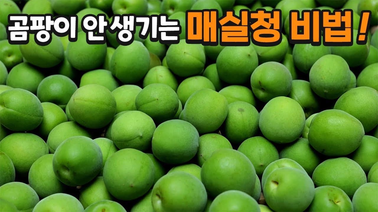 매실청과 매실 장아찌
