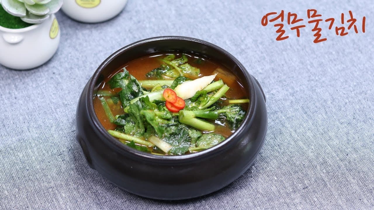 어린 열무 물김치