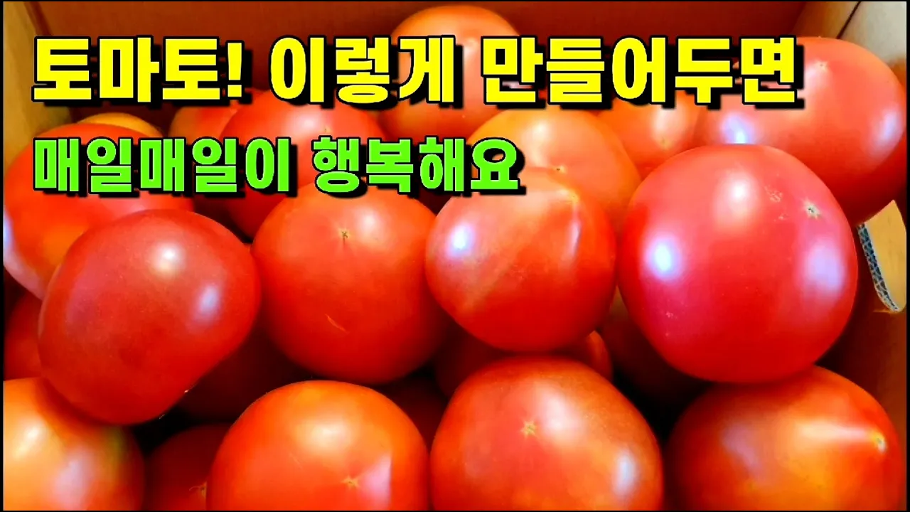 썬 드라이드 토마토