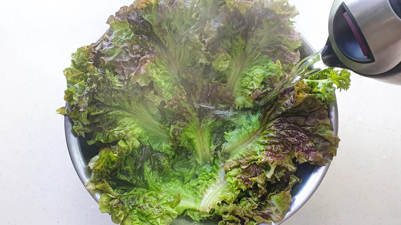 상추 된장무침과 상추 된장국