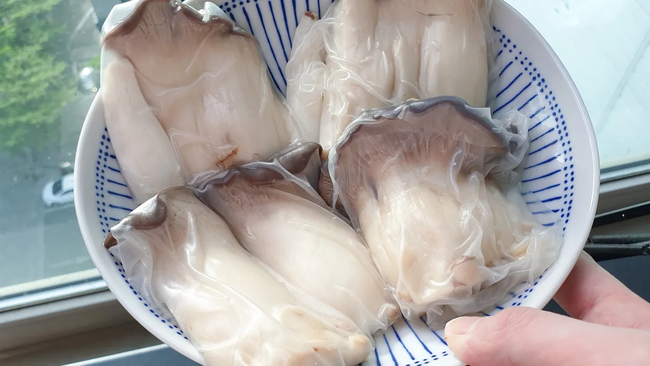 새송이버섯 라이스페이퍼 튀김 (버섯가스)