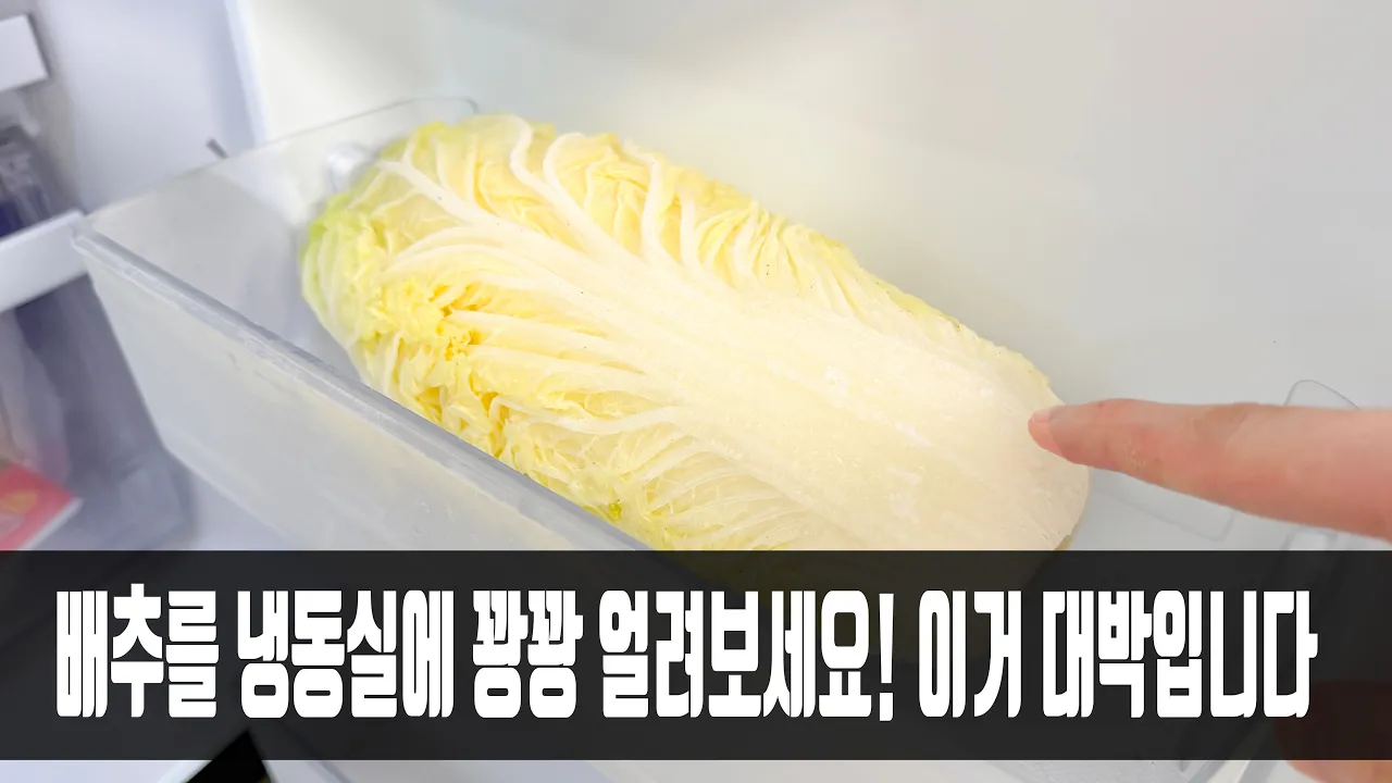 배추 만두