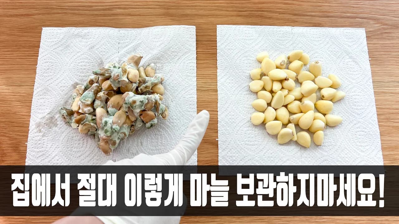 맥주 마늘장아찌
