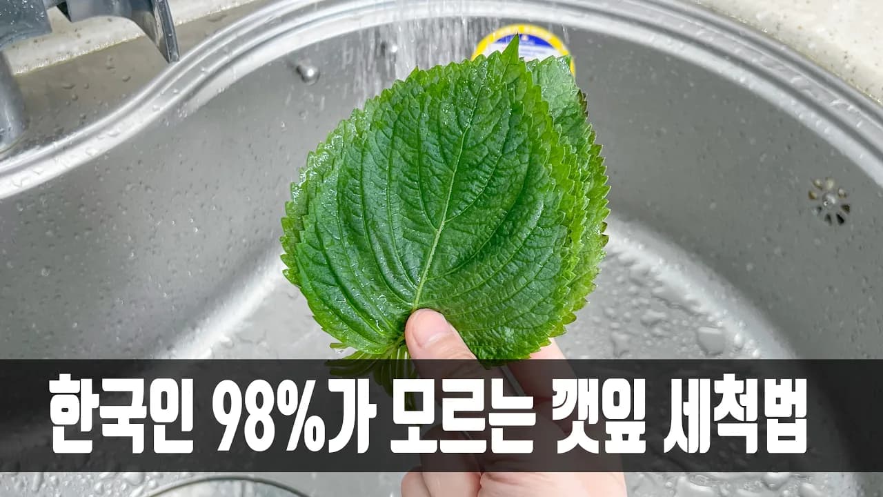깻잎 튀김