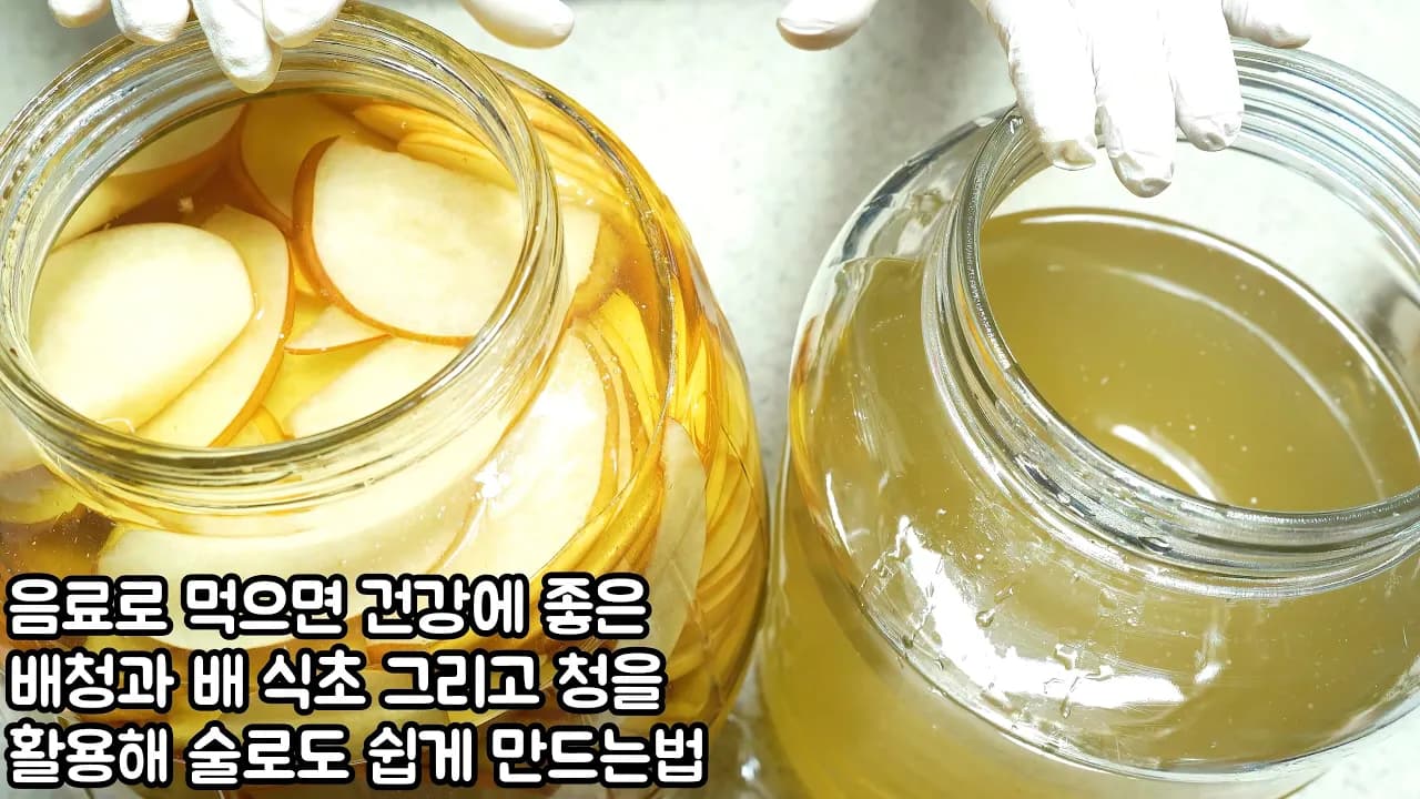 배청, 배식초, 배술