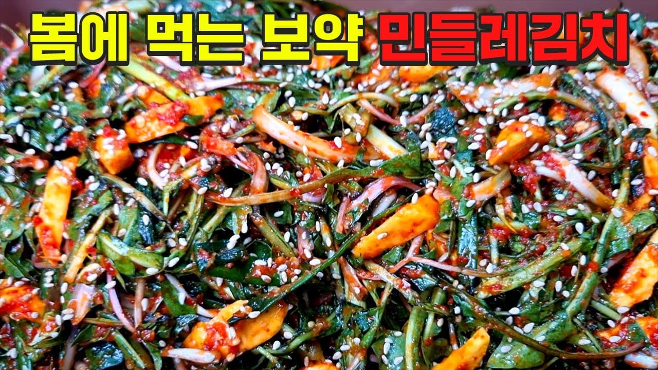 민들레김치