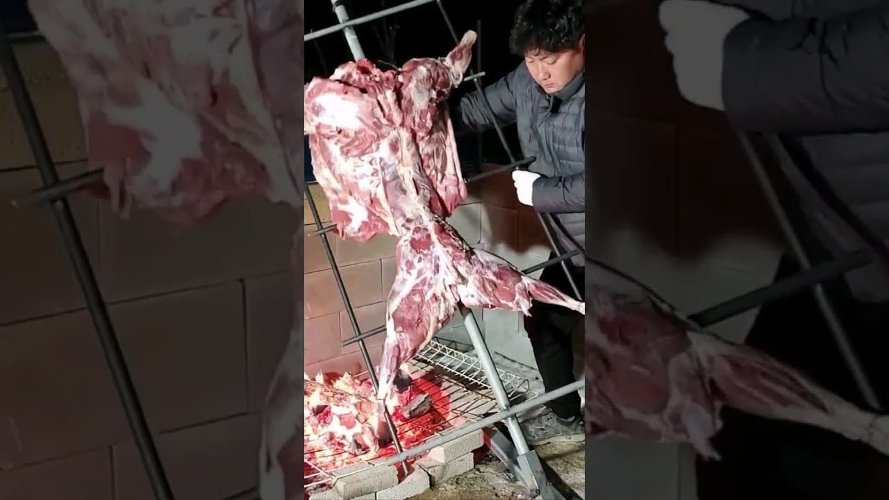 양 한 마리 아사도