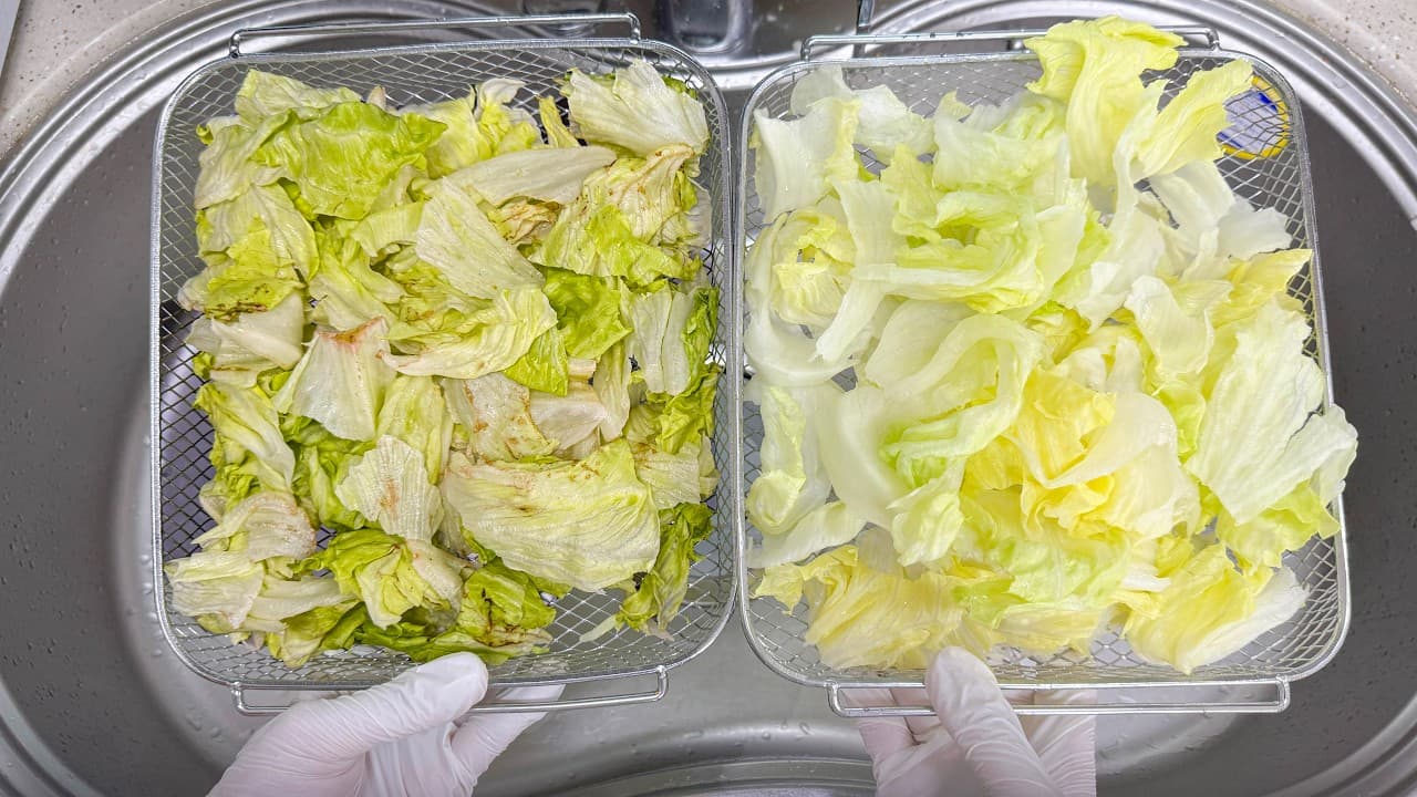 아삭함이 살아있는 양상추 손질 및 보관법