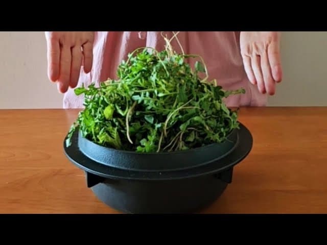 냉이 솥밥과 냉이 김밥