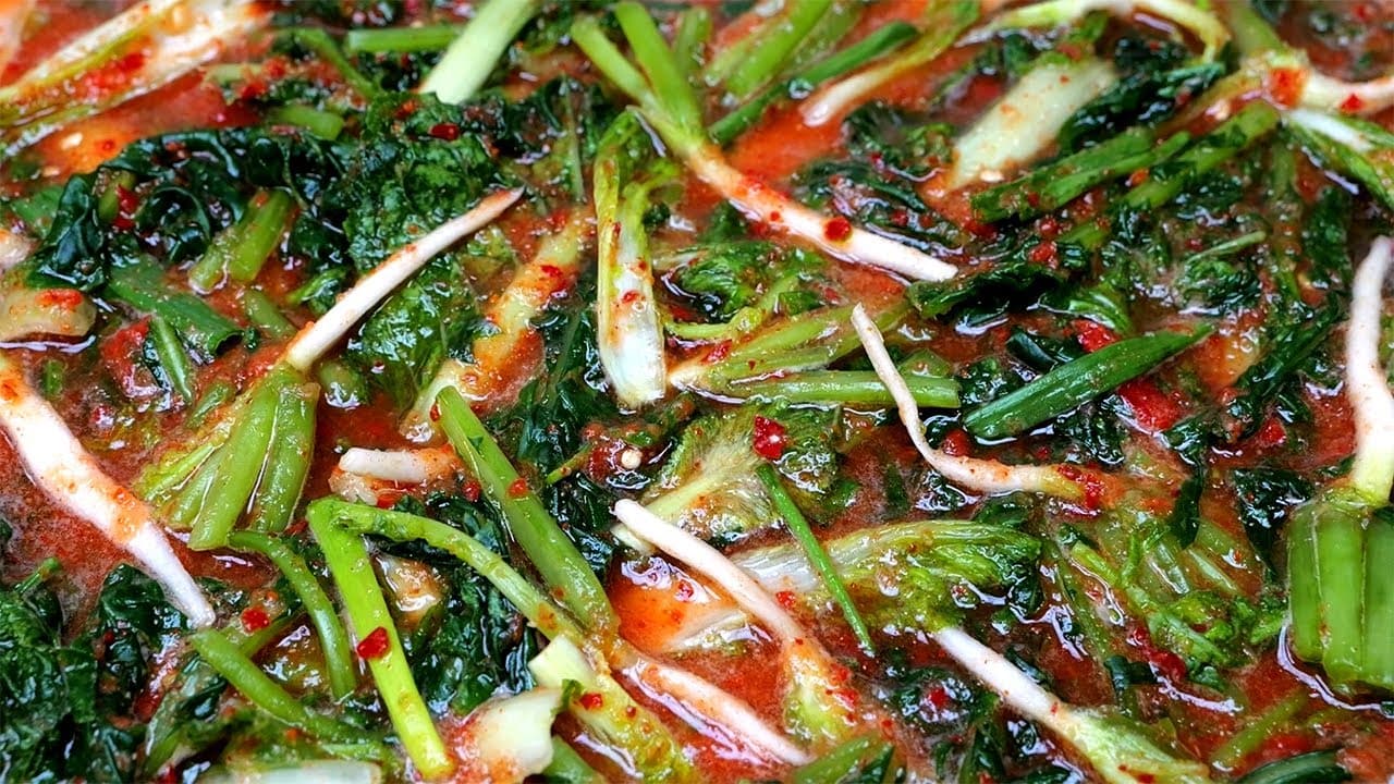 얼갈이 열무물김치