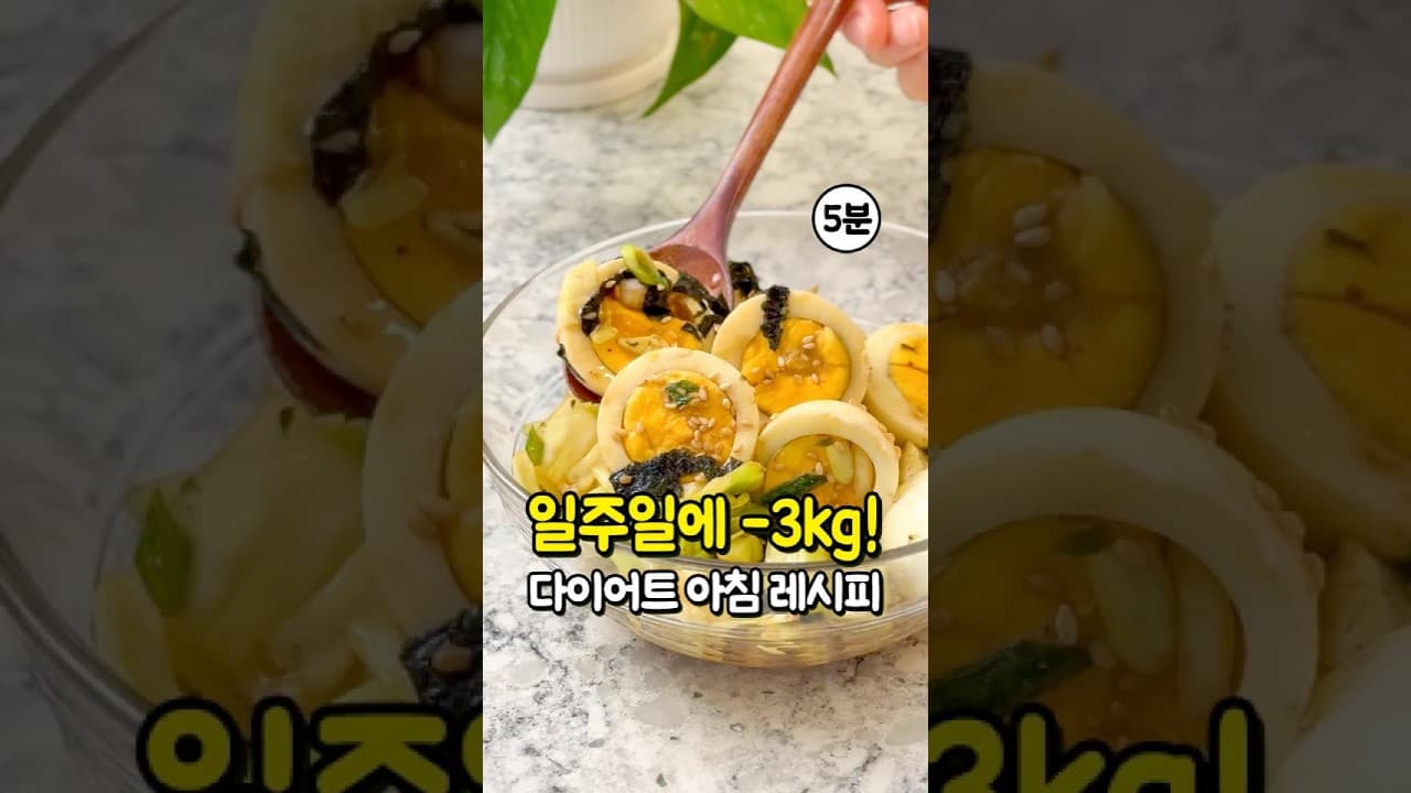 계란 양배추 요리