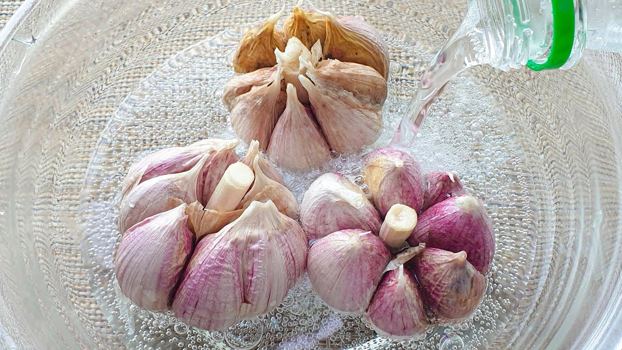 사이다 마늘 장아찌