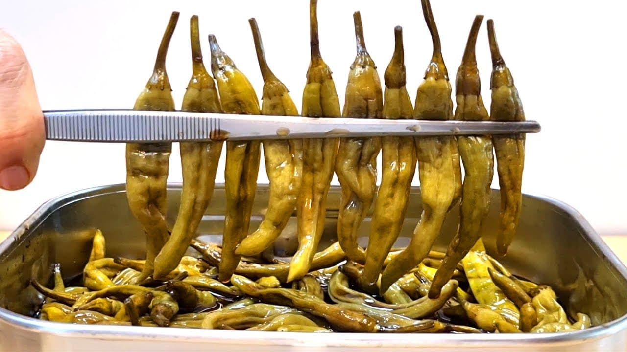 꽈리고추 장아찌