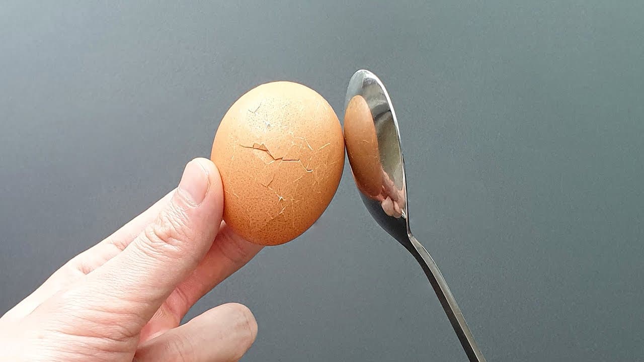 에그마요 샐러드