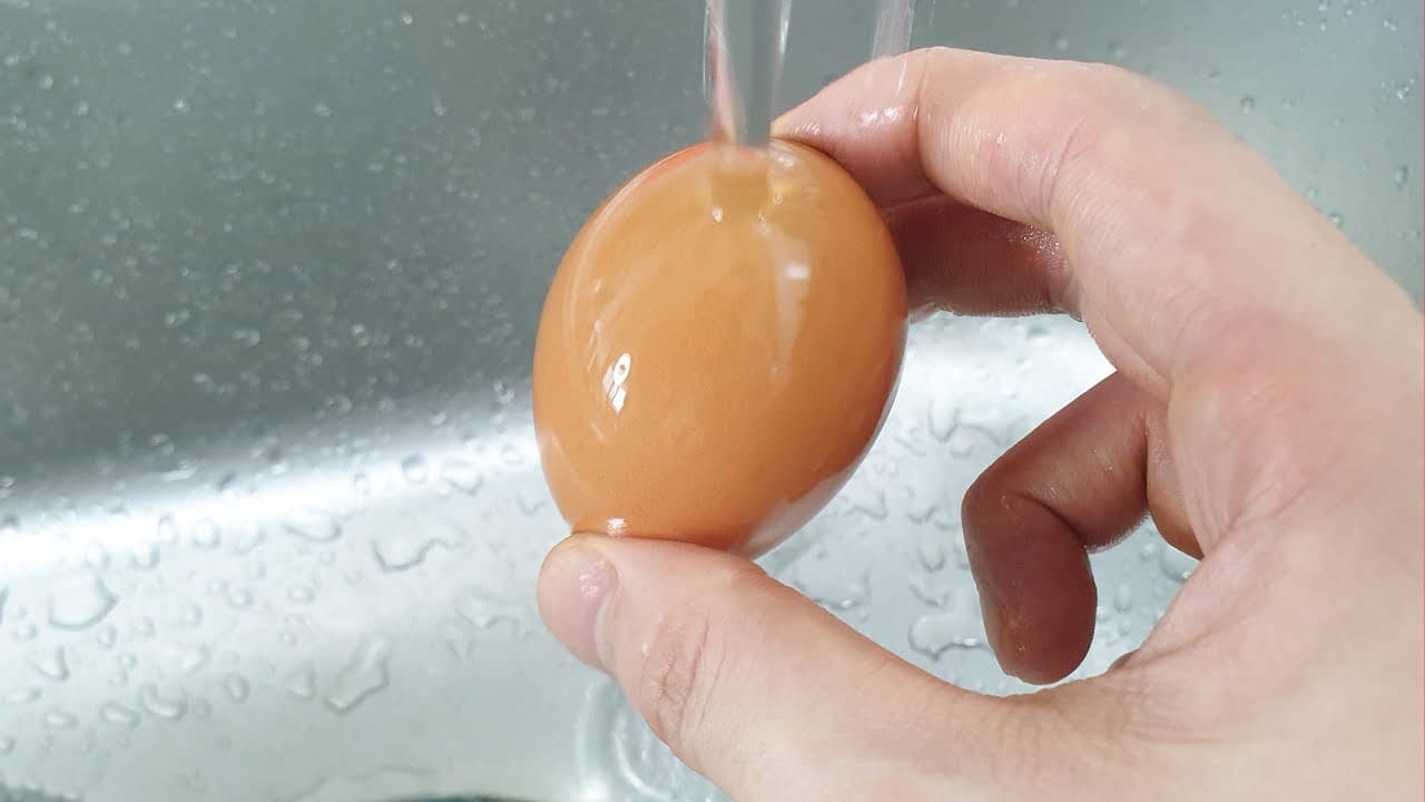 담백한 물계란찜