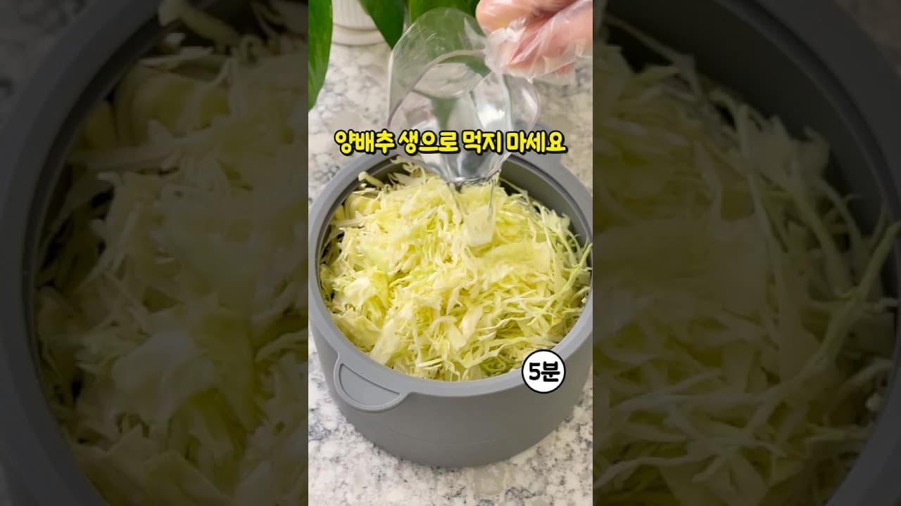 양배추 무침