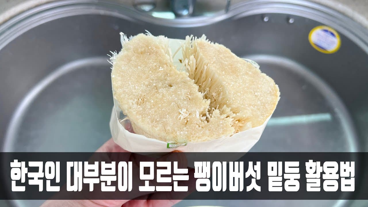 팽이버섯 계란전